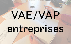 VAE/VAP entreprises